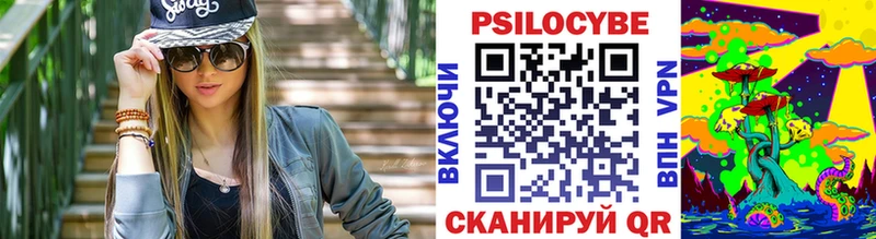 Купить Валуйки Галлюциногенные грибы Psilocybe